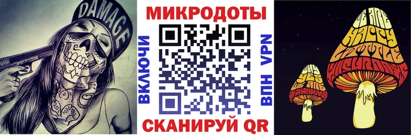 Купить где  Лесозаводск  Псилоцибиновые грибы GOLDEN TEACHER 